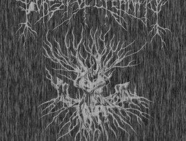 Forest Of Eternity 的头像