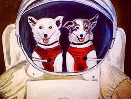 Avatar for The Soviet Space Dog Project