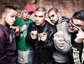 Awatar dla Crew Peligrosos