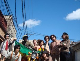The Roots Rockers Club 的头像