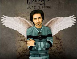 Amin Habibi 的头像