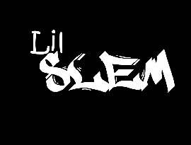 Avatar for Lil Slem