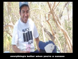 Piggy loves a big black cock 的头像