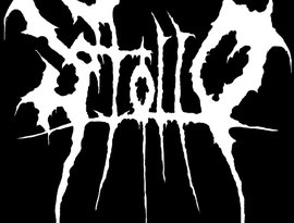 Avatar for Stollo