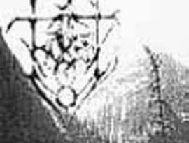 Avatar for A Forest