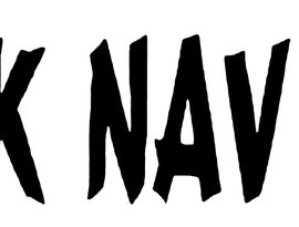 Avatar for Maërsk Navigator