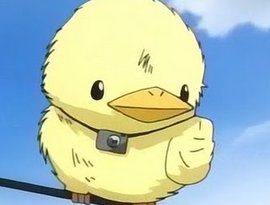 Hibird 的头像
