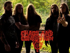 Avatar for Chaos and Confusion