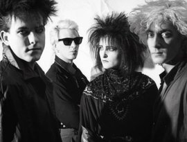 Avatar for Siouxsie and the Banshees