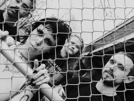 Avatar for Sharptooth