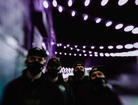 Pulse 的头像