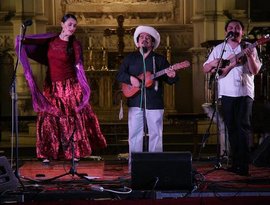 Avatar for Radio Jarocho