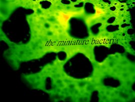 Avatar for The Miniature Bacteria