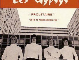 Les Gypsys 的头像