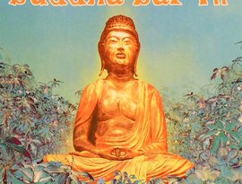 Avatar di Buddha Bar VII