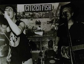 Citizen Fish 的头像