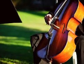 Cello Music Songs 的头像