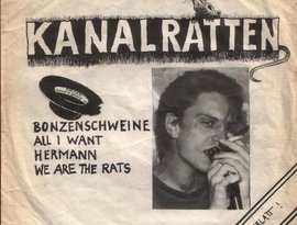 Avatar for Kanalratten