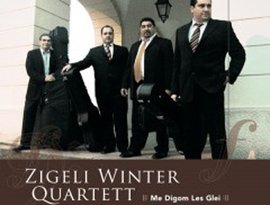 Avatar för Zigeli Winter Quartet