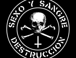 Avatar for Sexo y Sangre