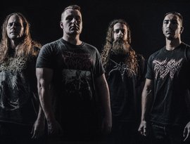 Disentomb 的头像
