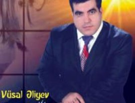 Avatar for Vusal Aliyev
