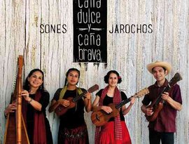 Avatar for Caña Dulce y Caña Brava