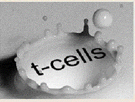 Avatar för T Cells