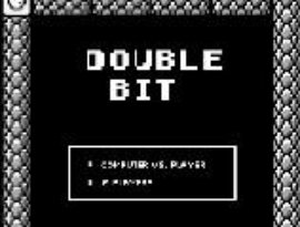 Double Bit のアバター