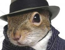 Squirrel için avatar