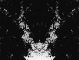 Avatar for AVOIDANT
