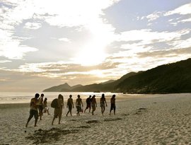 O Grande Grupo Viajante 的头像