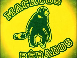 Avatar for Macacos Bêbados