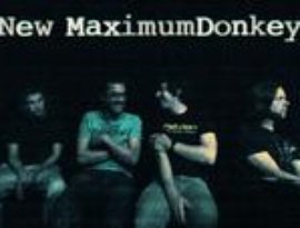 Avatar di New Maximum Donkey