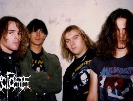 Avatar de Necrosis