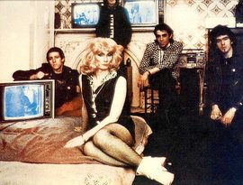 Wayne County & The Electric Chairs 的头像