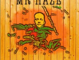 Avatar de Mr Haze Dub Project