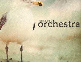 Avatar de Seagull Orchestra