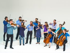 Avatar for Scottish Ensemble
