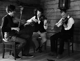 Avatar de The Nordic Fiddlers Bloc