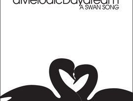 Avatar for A Melodic Daydream