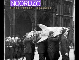 Noordzo 的头像