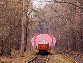 Kawaii Tramwaii 的头像