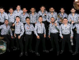 Avatar for Banda Carnaval