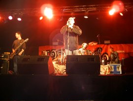Naranjos 的头像