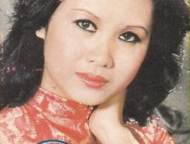 Avatar for Sơn Ca