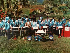 Avatar de The Esso Trinidad Steel Band