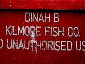 Dinah Bird 的头像