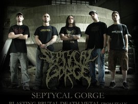 Avatar für Septycal Gorge