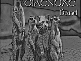 Diaenoxe Band 的头像